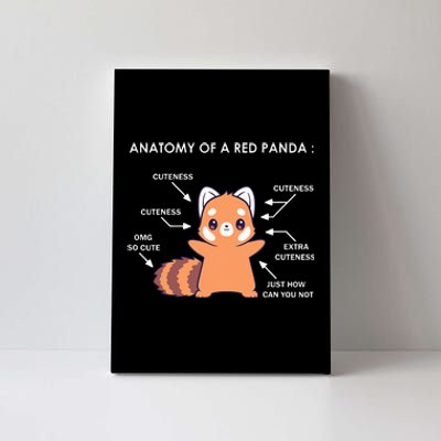 Anatomy Of A Red Panda Science Zoologist Red Panda Anatomy Canvas