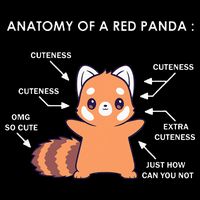 Anatomy Of A Red Panda Science Zoologist Red Panda Anatomy Drawstring Bag