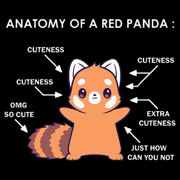 Anatomy Of A Red Panda Science Zoologist Red Panda Anatomy Drawstring Bag