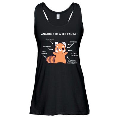 Anatomy Of A Red Panda Science Zoologist Red Panda Anatomy Ladies Essential Flowy Tank