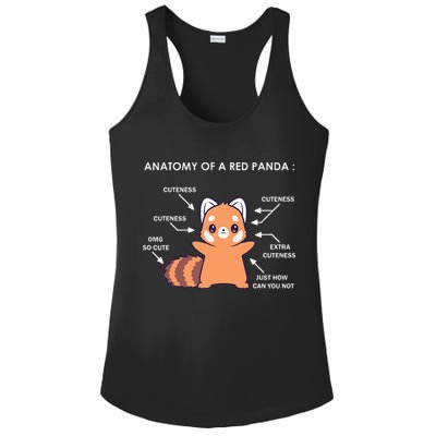 Anatomy Of A Red Panda Science Zoologist Red Panda Anatomy Ladies PosiCharge Competitor Racerback Tank