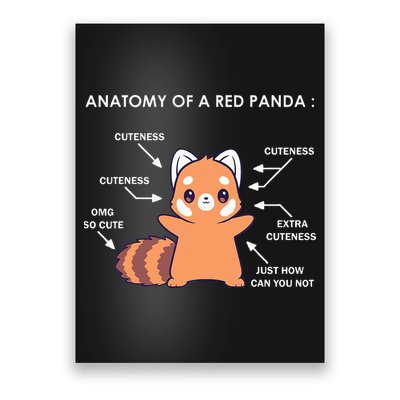 Anatomy Of A Red Panda Science Zoologist Red Panda Anatomy Poster