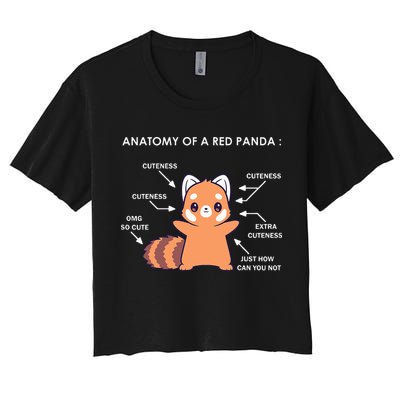 Anatomy Of A Red Panda Science Zoologist Red Panda Anatomy Crop Top