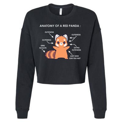Anatomy Of A Red Panda Science Zoologist Red Panda Anatomy Cropped Pullover Crew