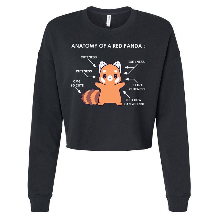Anatomy Of A Red Panda Science Zoologist Red Panda Anatomy Cropped Pullover Crew