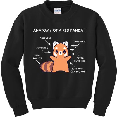 Anatomy Of A Red Panda Science Zoologist Red Panda Anatomy Kids Sweatshirt