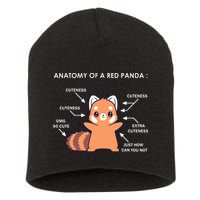 Anatomy Of A Red Panda Science Zoologist Red Panda Anatomy Short Acrylic Beanie