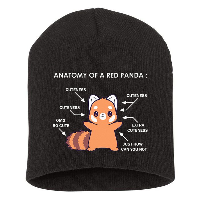 Anatomy Of A Red Panda Science Zoologist Red Panda Anatomy Short Acrylic Beanie