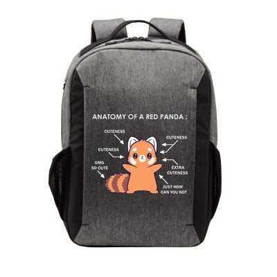 Anatomy Of A Red Panda Science Zoologist Red Panda Anatomy Vector Backpack