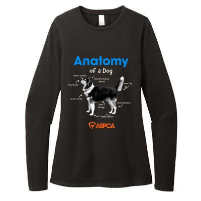 Anatomy Of A Dog Womens CVC Long Sleeve Shirt