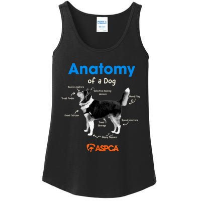 Anatomy Of A Dog Ladies Essential Tank