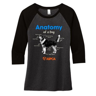 Anatomy Of A Dog Women's Tri-Blend 3/4-Sleeve Raglan Shirt