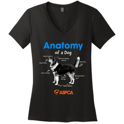 Anatomy Of A Dog Women's V-Neck T-Shirt