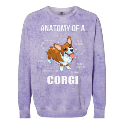 Anatomy Of A Corgi Funny Dog Colorblast Crewneck Sweatshirt