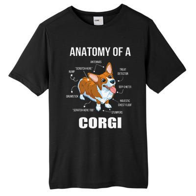 Anatomy Of A Corgi Funny Dog Tall Fusion ChromaSoft Performance T-Shirt