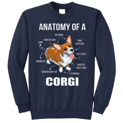 Anatomy Of A Corgi Funny Dog Sweatshirt