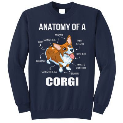 Anatomy Of A Corgi Funny Dog Tall Sweatshirt