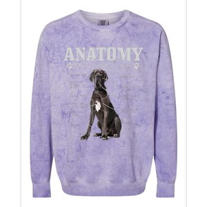 Anatomy Of A Great Dane Funny Cute Dog Mom Dad Colorblast Crewneck Sweatshirt