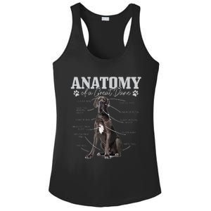 Anatomy Of A Great Dane Funny Cute Dog Mom Dad Ladies PosiCharge Competitor Racerback Tank