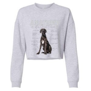 Anatomy Of A Great Dane Funny Cute Dog Mom Dad Cropped Pullover Crew