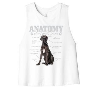 Anatomy Of A Great Dane Funny Cute Dog Mom Dad Women's Racerback Cropped Tank