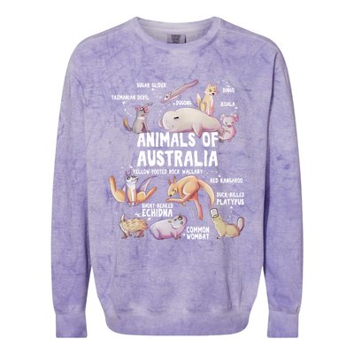 Animals Of Australia Australian Animal Educational Gift Cute Colorblast Crewneck Sweatshirt