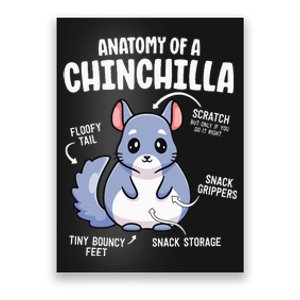 Anatomy Of A Chinchilla S For Women Lover Mom Poster