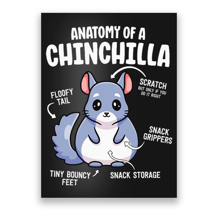 Anatomy Of A Chinchilla S For Women Lover Mom Poster