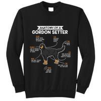 Anatomy Of A Gordon Setter Fun Dog M.A.S.T.E.RS Lady Sweatshirt