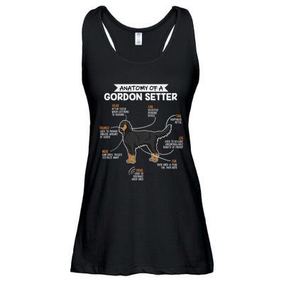 Anatomy Of A Gordon Setter Fun Dog M.A.S.T.E.RS Lady Ladies Essential Flowy Tank