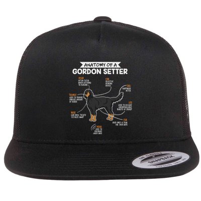 Anatomy Of A Gordon Setter Fun Dog M.A.S.T.E.RS Lady Flatbill Hat