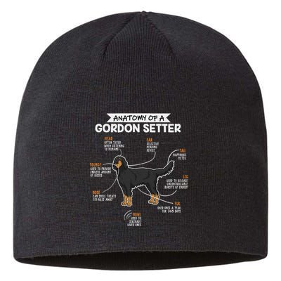 Anatomy Of A Gordon Setter Fun Dog M.A.S.T.E.RS Lady Sustainable Beanie