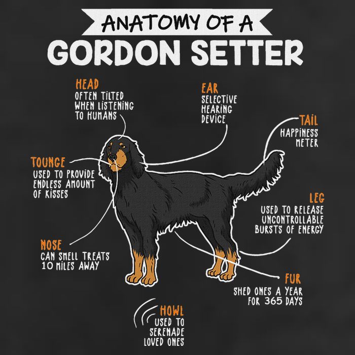 Anatomy Of A Gordon Setter Fun Dog M.A.S.T.E.RS Lady Tumbler