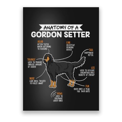 Anatomy Of A Gordon Setter Fun Dog M.A.S.T.E.RS Lady Poster