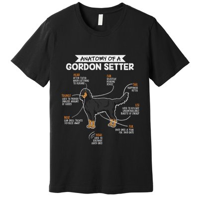 Anatomy Of A Gordon Setter Fun Dog M.A.S.T.E.RS Lady Premium T-Shirt