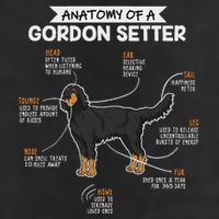 Anatomy Of A Gordon Setter Fun Dog M.A.S.T.E.RS Lady Microfiber Hand Towel