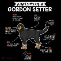 Anatomy Of A Gordon Setter Fun Dog M.A.S.T.E.RS Lady Visor