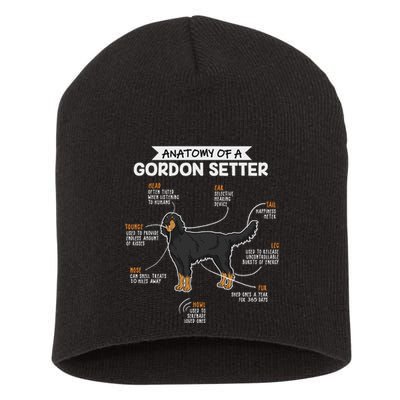 Anatomy Of A Gordon Setter Fun Dog M.A.S.T.E.RS Lady Short Acrylic Beanie