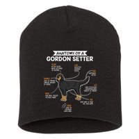 Anatomy Of A Gordon Setter Fun Dog M.A.S.T.E.RS Lady Short Acrylic Beanie