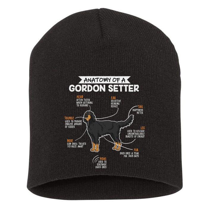 Anatomy Of A Gordon Setter Fun Dog M.A.S.T.E.RS Lady Short Acrylic Beanie
