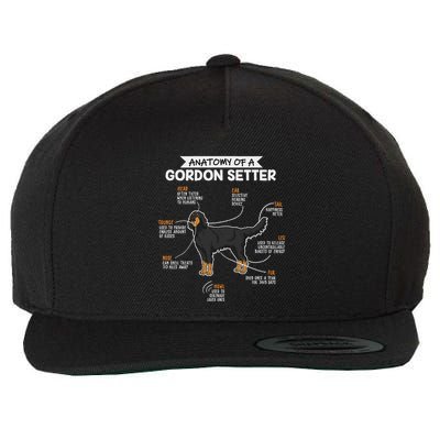 Anatomy Of A Gordon Setter Fun Dog M.A.S.T.E.RS Lady Wool Snapback Cap