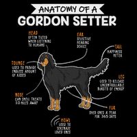 Anatomy Of A Gordon Setter Fun Dog M.A.S.T.E.RS Lady Wool Snapback Cap