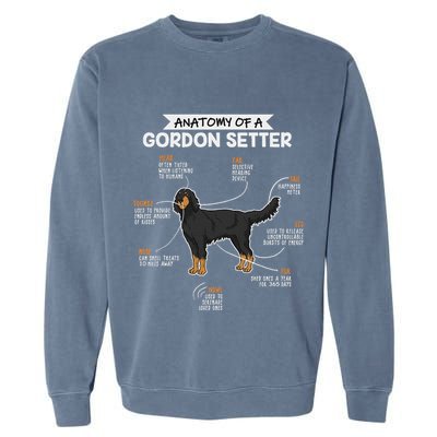 Anatomy Of A Gordon Setter Fun Dog M.A.S.T.E.RS Lady Garment-Dyed Sweatshirt
