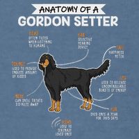 Anatomy Of A Gordon Setter Fun Dog M.A.S.T.E.RS Lady Garment-Dyed Sweatshirt