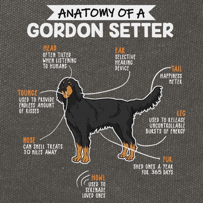 Anatomy Of A Gordon Setter Fun Dog M.A.S.T.E.RS Lady Cotton Canvas Backpack