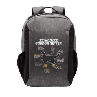 Anatomy Of A Gordon Setter Fun Dog M.A.S.T.E.RS Lady Vector Backpack