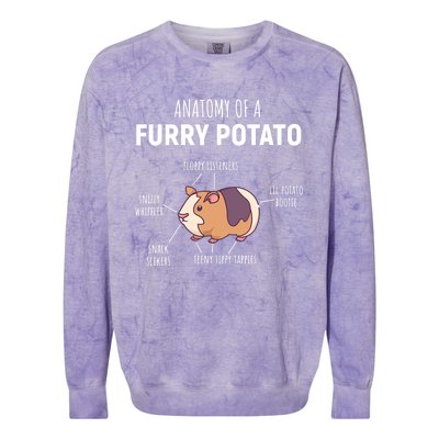 Anatomy Of A Furry Potato Guinea Pig Lover Gift TShirt Colorblast Crewneck Sweatshirt