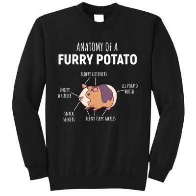 Anatomy Of A Furry Potato Guinea Pig Lover Gift TShirt Sweatshirt