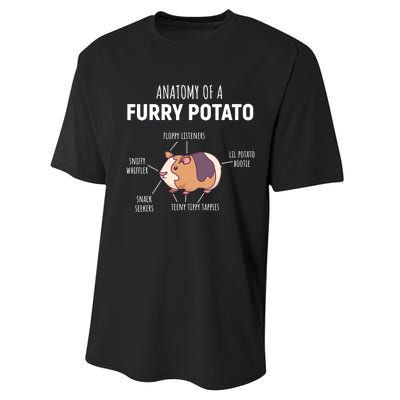 Anatomy Of A Furry Potato Guinea Pig Lover Gift TShirt Performance Sprint T-Shirt