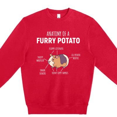 Anatomy Of A Furry Potato Guinea Pig Lover Gift TShirt Premium Crewneck Sweatshirt